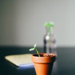 Documentation: The Key To Growth?